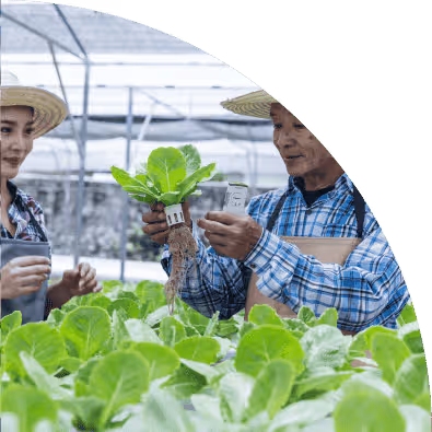 Young researchers examining plant growth in a greenhouse.