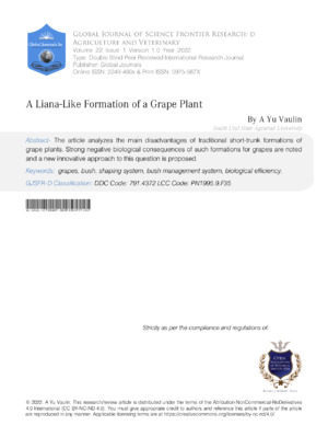 Detailed research on liana-like structures in grape plants beneficial for agricultural science.