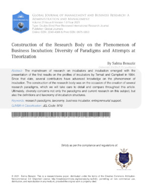 Building research on business incubation, diversity, and theoretical frameworks in academic analysis.