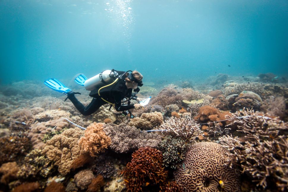 Journal Header Image