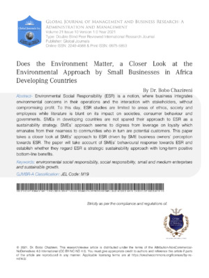Alt text: Environmental impact of small businesses in Africa analyzed for sustainable growth and development.