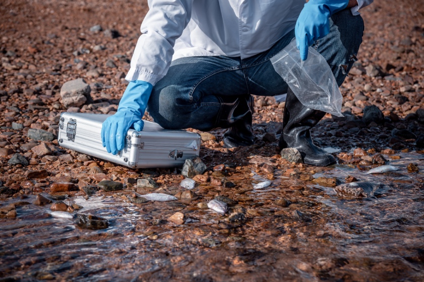 Precise fish sampling and water analysis for environmental research.