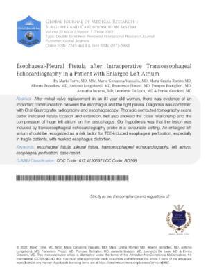 Detailed analysis of esophageal function and diagnostics in patients with large atrium. Focus on transesophageal echocardiography.