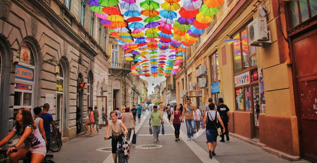 C: Sociology & Culture