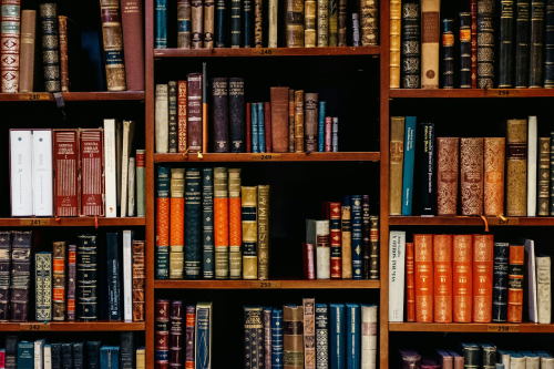 Human-Social Science Articles & Books