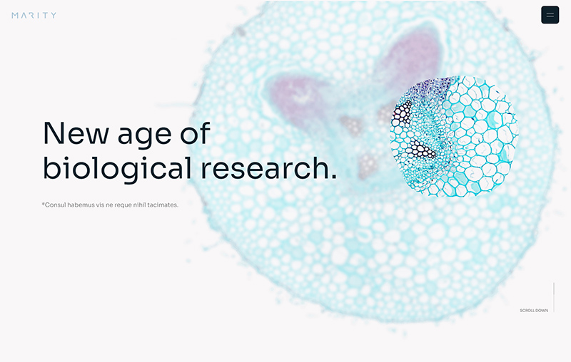 High-quality biological research articles for academic publishing.
