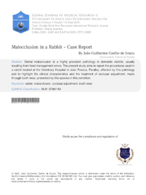 Rabbit dental malocclusion veterinary research 2023.