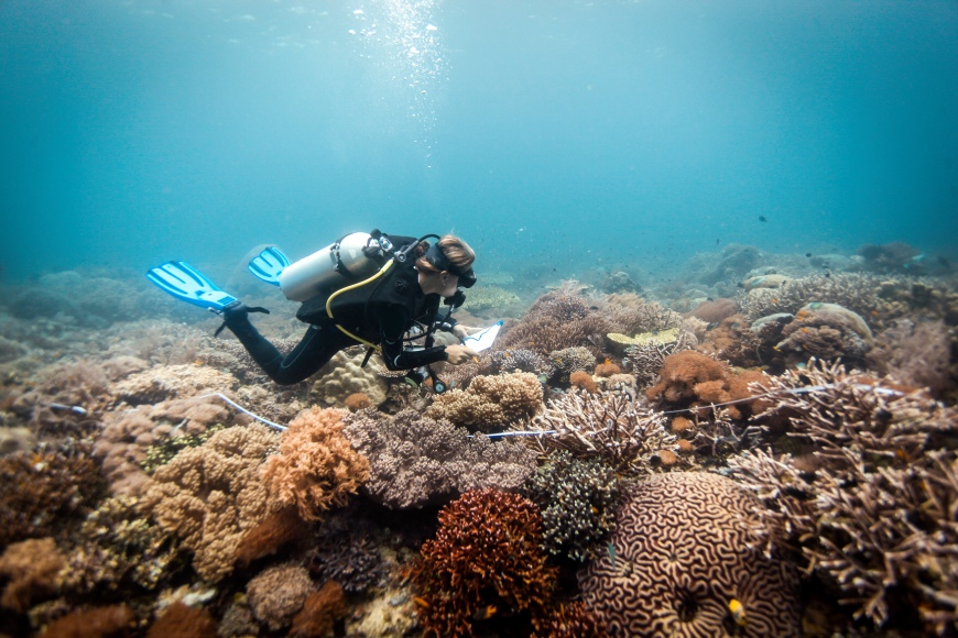 Journal Header Image