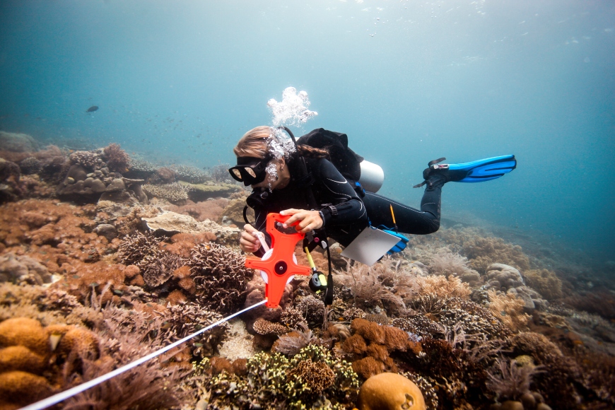 Journal Header Image