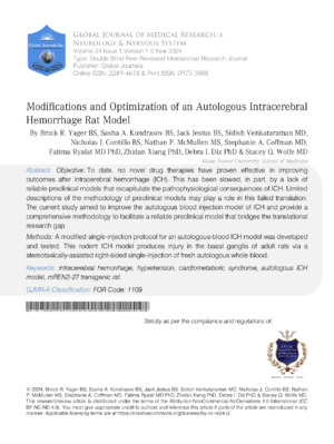 A detailed look at hemorrhage rate modeling for intracerebral bleed prediction.