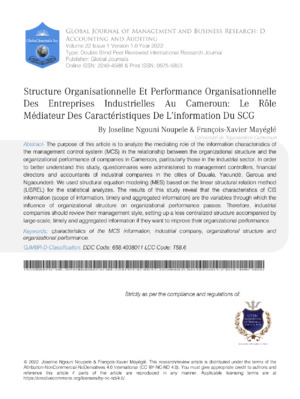 Detailed analysis of organizational structure and performance in Cameroonian industrial enterprises.
